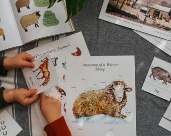 Winter Farm Animals Unit Study: Homeschool Lessons (PDF Download)