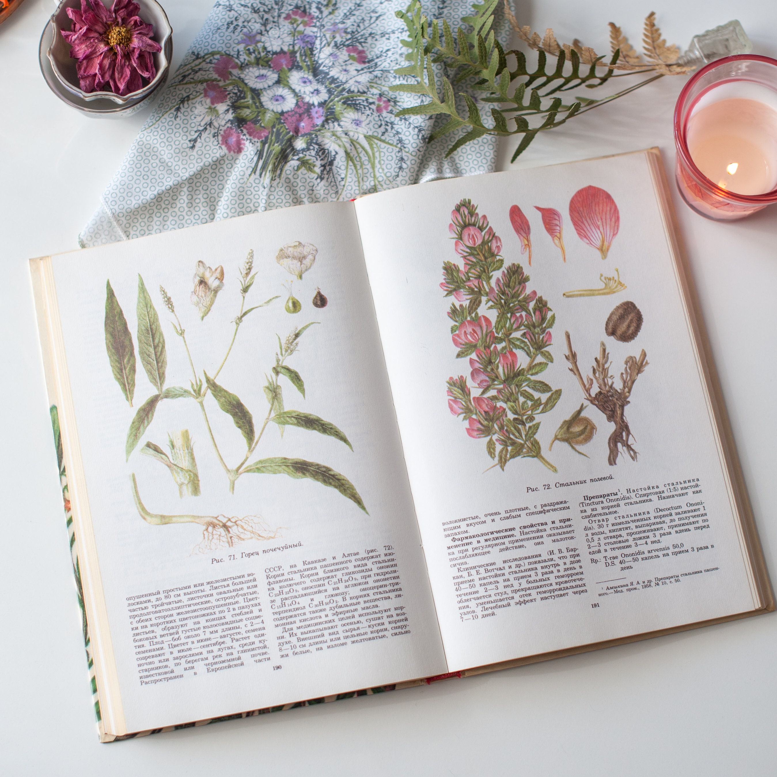 Vintage illustrated botanical book 101 illustrations of Etsy