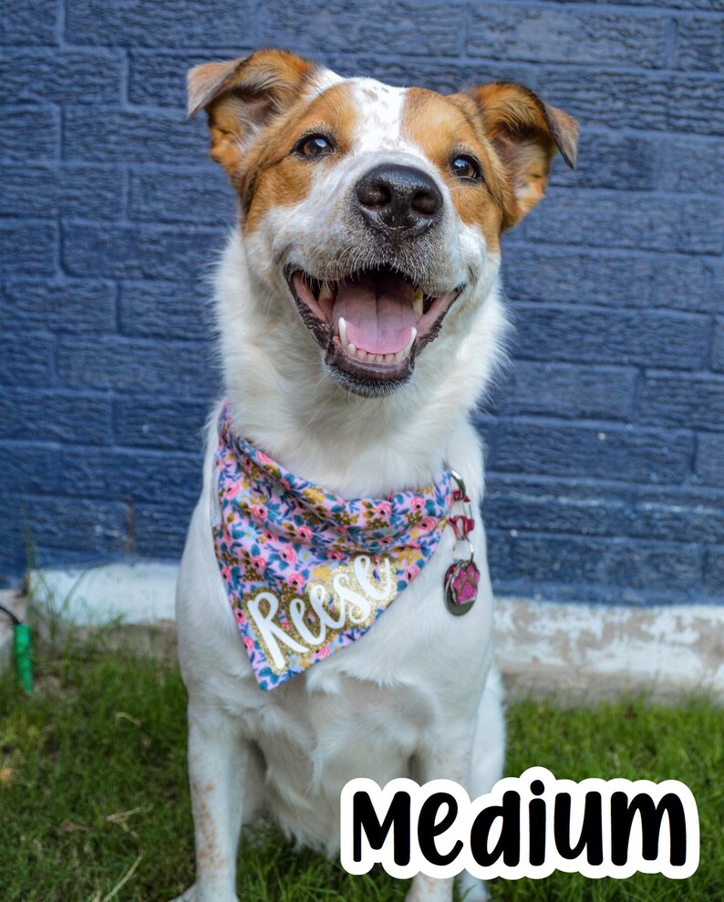 Reversible Pet Bandana Shark Bait Over-the-Collar