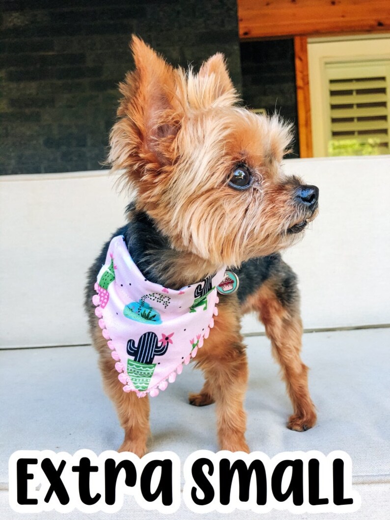 Reversible Pet Bandana Shark Bait Over-the-Collar