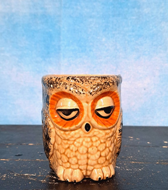 Vintage 70s Sponge Painted Sleepy Ceramic Owl Cup - Etsy