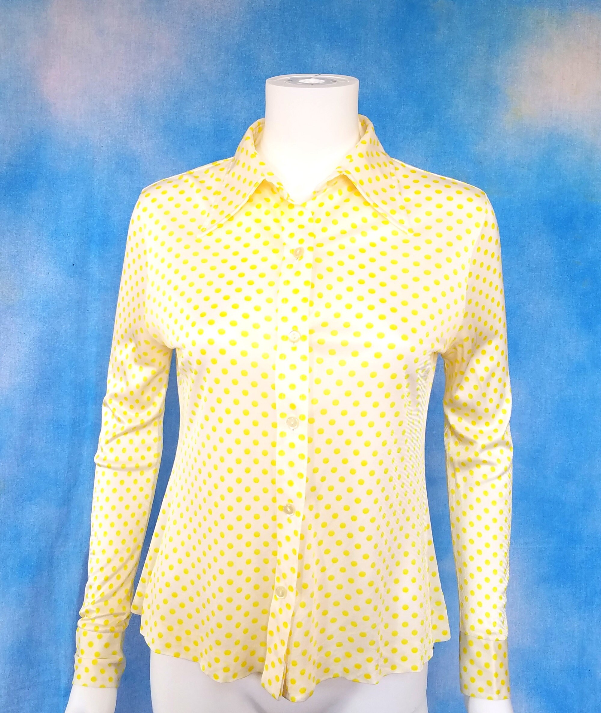 アルミジップ 70s Eurovintage cycling shirt アルミジップ 70s Eurovintage cycling shirt - メルカリ