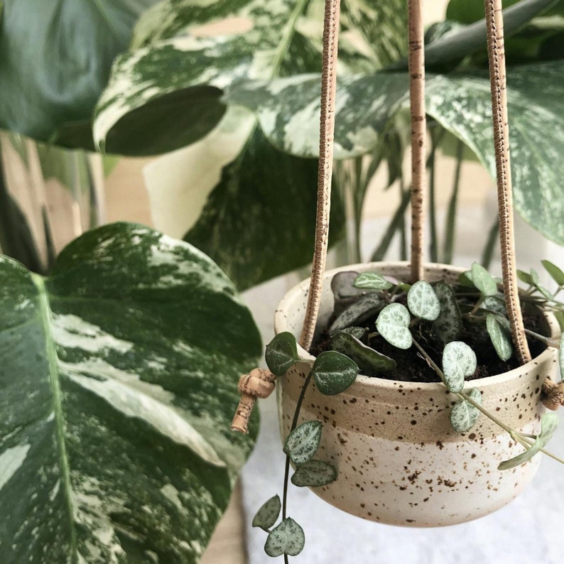 SARA / Handmade Hanging Planter, Ceramic Flower Pot Indoor, Cork Macrame Plant Hanger for Succulents, Plant Lover Gift image 1