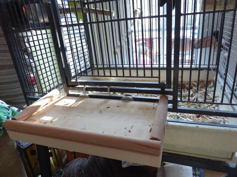 Bird platform perch shelf stand cage accessory Beech doweling Etsy