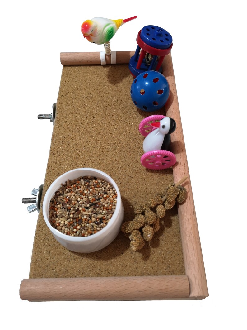 Bird platform perch shelf stand cage accessory Beech doweling Etsy