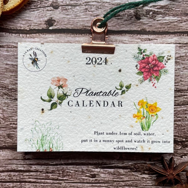 Plantable Calendar Etsy UK