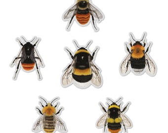 Bumblebee Sticker Set | Vinyl Bumblebee Stickers | Nature Stickers | Insect Illustration | Waterproof Stickers