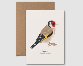 Postal de Jilguero – Ilustración de Jilguero – Mini impresión artística de pájaro cantor – Postal de naturaleza – Regalo para amantes de las aves – Enmarcado opcional