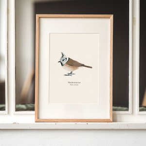 Poster della cincia dal ciuffo, poster di uccelli con il disegno della cincia dal ciuffo, a scelta incorniciato o con barra per poster