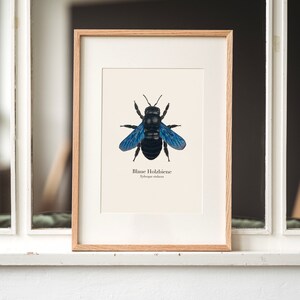 Poster di api con disegno di un'ape di legno blu, stampa artistica della natura, poster di api A4, a scelta incorniciato o con barra per poster