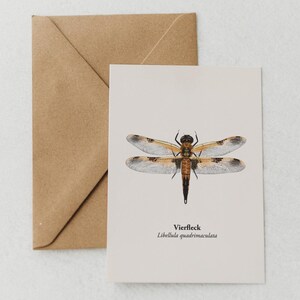 Libelle Postkarte – Kunstpostkarte mit Vierfleck Libelle Zeichnung – Grußkarte Natur – Geschenk Naturfreunde – Miniprint A6 optional gerahmt
