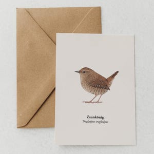 Carte postale Troglodyte - Carte de vœux oiseau - Dessin oiseau - Miniprint A6 - encadré en option - cadeau durable pour les amoureux de la nature