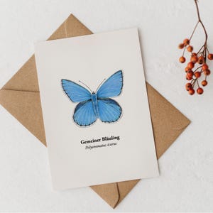 Postkarte blauer Schmetterling  – Grußkarte mit Bläuling Zeichnung  –  Geschenk Naturliebhaber – Miniprint Natur  –  optional gerahmt