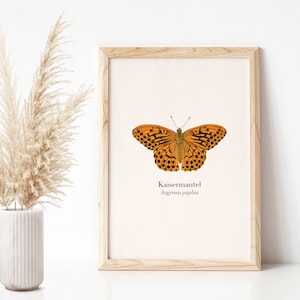 Schmetterling Poster mit Kaisermantel Illustration (Argynnis paphia), Wanddeko Naturliebhaber