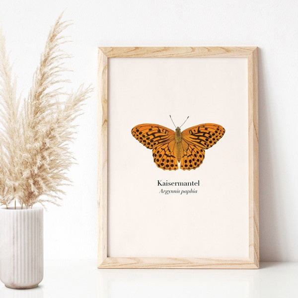 Butterfly poster with imperial mantle illustration (Argynnis paphia), wall decoration nature lovers