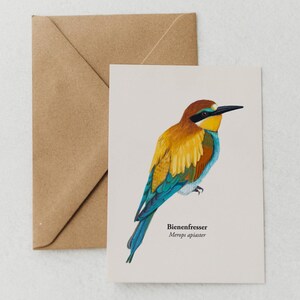 Carte postale Guêpier – dessin d'oiseau Merops apiaster | Mini tirage d'art A6 | Carte postale nature | Oiseau coloré | Illustration d'animal cadeau