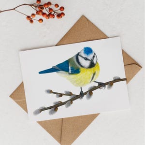 Carte de Pâques Mésange bleue, Carte postale Mésange bleue et saule, Voeux de Pâques, Cadeaux durables pour les amoureux de la nature