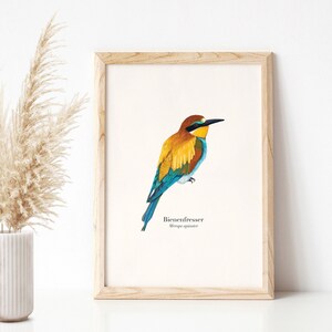 Vogel Poster mit Bienenfresser Illustration, Zeichnung bunter Vogel