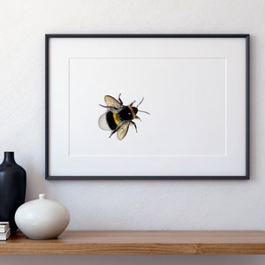 Poster di calabrone su carta strutturata in lino di alta qualità, poster naturalistico A4, regalo per gli amanti della natura, opzionalmente incorniciato