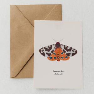 Carte postale papillon – dessin Arctia caja – cadeau pour les amoureux de la nature – Papillon Ours Brun – mini tirage A6 – encadré en option