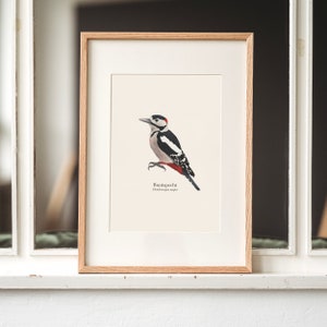 Bellissimo disegno del picchio rosso, poster di uccelli A4, a scelta incorniciato o con barra per poster