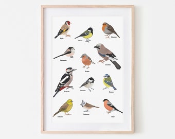 Poster native birds, art print with drawings of twelve native bird species | Optionally framed or with a poster rail | A4, A3