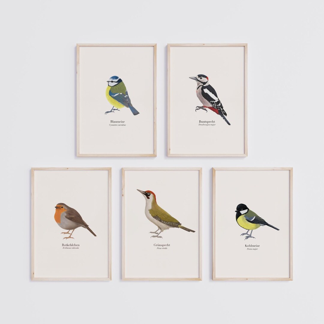 Set of 5 Posters of Native Birds, Customizable Nature Wall Decor, Gift ...