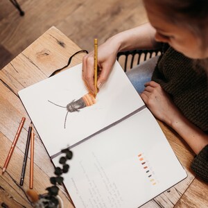 以下が含まれることがあります： 人がスケッチブックに色鉛筆で昆虫を詳細に描いています。昆虫は黒地にオレンジと黄色の縞模様です。スケッチブックは、カラーパレットのあるページを開いています。