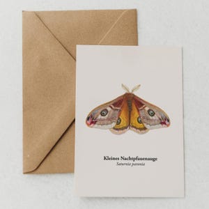 Carte postale Papillon Paon – Dessin de Papillon | Carte postale d'art pour les amoureux de la nature | Miniprint A6, encadré en option