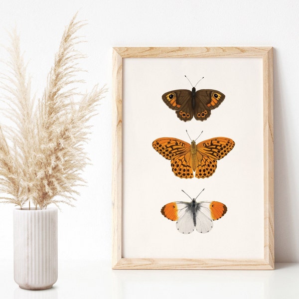 Butterfly poster A4, nature art print with three butterfly illustrations
