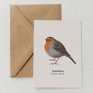 Rotkehlchen Postkarte, Rotkehlchen Bild, Grußkarte mit Vogel Zeichnung, Miniprint A6, Postkarte für Naturliebhaber