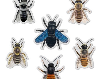 Sticker Set Bienen, Aufkleber Set Wildbienen 6 Stück, das perfekte Geschenk für Imker und Naturliebhaber