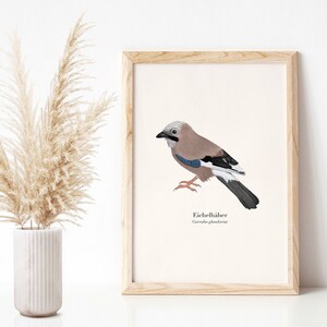 Cartel de arrendajo euroasiático A4, impresión artística de aves locales