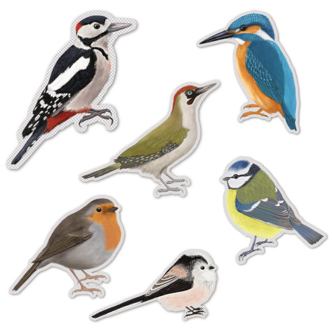 Vinyl Sticker Set Native Birds With Transparent Background, Sticker Set ...