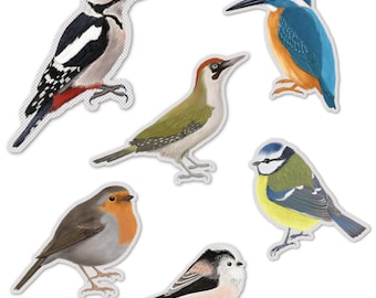 Vinyl Sticker Set heimische Vögel mit transparenter Hintergrund, Aufkleber Set 6 Stück, Geschenk für Naturliebhaber, Laptop Sticker