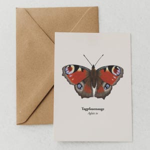 Carte postale papillon paon – illustration nature avec motif papillon | Mini impression ou carte de vœux | encadré en option