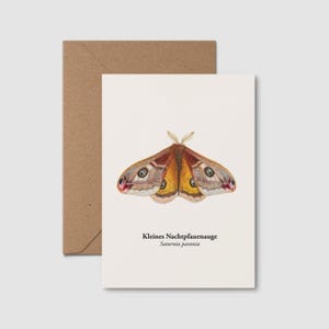 Può includere: Un biglietto di auguri con un'illustrazione dettagliata di una falena con ali marroni, gialle e rosa. Il biglietto è accompagnato da una busta marrone. Il testo sul biglietto recita "Kleines Nachtpfauenauge Saturnia pavonia."