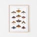 see more listings in the Poster Butterflies section