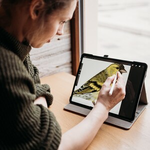 Puede incluir: Una persona usando un l&aacute;piz digital para dibujar un p&aacute;jaro amarillo en una tableta.