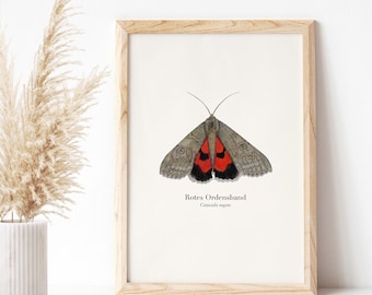 Dibujo de polilla, cartel de mariposa A4, cinta roja