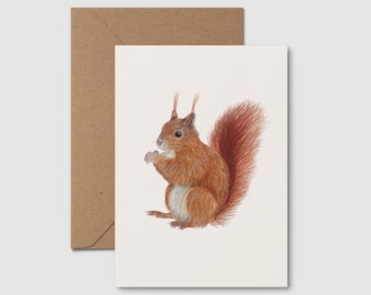 Cartolina con illustrazione di scoiattolo, regalo per gli amanti della natura