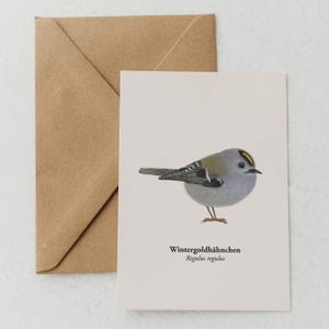 Carte postale Roitelet huppé - Carte de vœux avec dessin d'oiseau - Miniprint A6 Roitelet huppé - Cadeau pour les amoureux des oiseaux - encadré en option