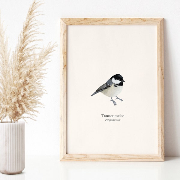 Vogelposter met illustratie van koolmees, natuurkunstprint A4