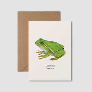 May include: A white greeting card featuring a detailed illustration of a bright green tree frog. Below the frog, the text reads Laubfrosch and Hyla arborea in black font. The card is paired with a plain brown kraft paper envelope.