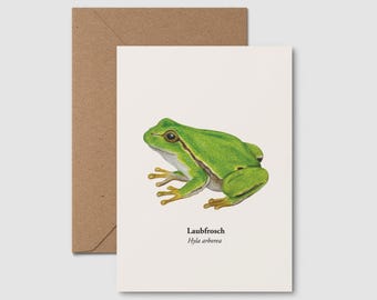 Frog Postcard – Tree Frog Drawing Hyla arborea | Mini Print A6 | Frog Illustration | Nature Postcard | Amphibian Gift Animal Motif