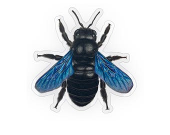 Blaue Holzbiene Vinyl Sticker | Wasserfester Wildbienen Aufkleber für Laptop, Trinkflasche & Notizbuch