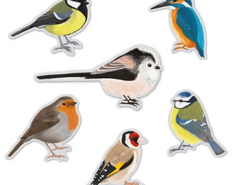 Vinyl Sticker Set heimische Vögel, Aufkleber Set 6 Stück, Geschenk für Naturliebhaber, Laptop Sticker