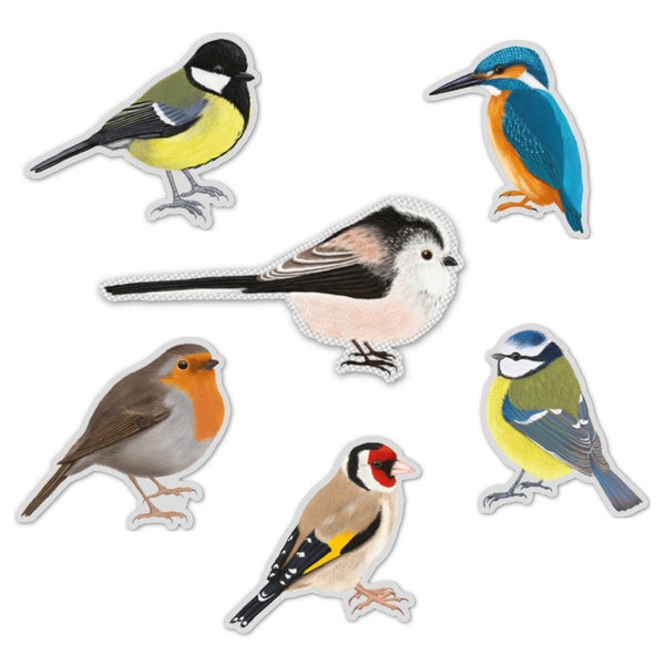 Vinyl Sticker Set heimische Vögel, Aufkleber Set 6 Stück, Geschenk für Naturliebhaber, Laptop Sticker