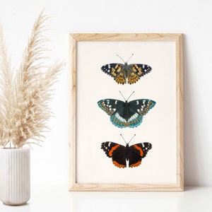 Schmetterling Bild A4, Schmetterling Poster mit Zeichnungen von drei heimischen Schmetterlingen