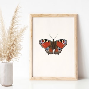 Imagen de mariposa, ilustración de mariposa pavo real (Aglais io), cartel de naturaleza A4